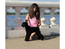 1-IMG_0691.JPG