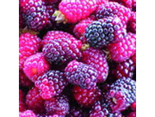 200