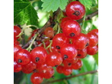 170�.