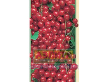 150�.
