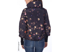 255114_back.jpg