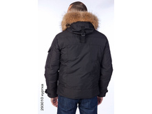 293010_back.jpg