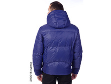 293015_back.jpg