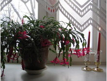 � 2006 ����