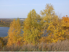 DSCF7711.JPG