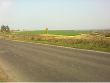 08102011021.jpg