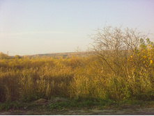 08102011026.jpg