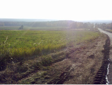 08102011034.jpg
