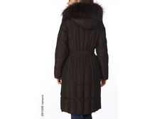 291026_back.jpg