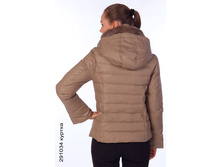 291034_back.jpg