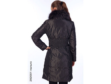 292001_back.jpg