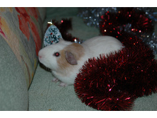 22.12.2007 14:08:52