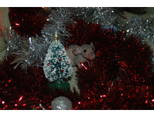 22.12.2007 14:22:17