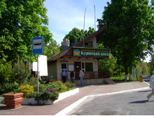 29.05.2010 11:15:25