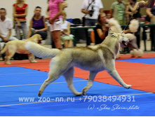 2760387.IMG_8670.jpg