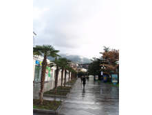 P1050258.JPG