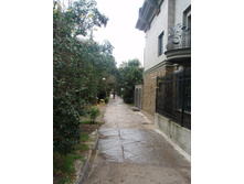 P1050268.JPG