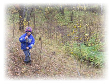 DSCN9314-1.jpg
