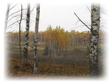 DSCN9362-1.jpg