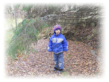 DSCN9372-1.jpg
