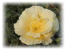 DSCN9198-1.jpg