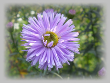 DSCN9220-1.jpg