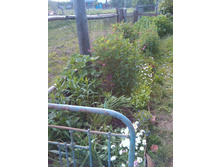 IMAG_0131.jpg