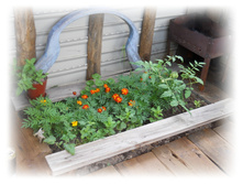DSCN5676.JPG