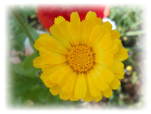 DSCN5686.JPG