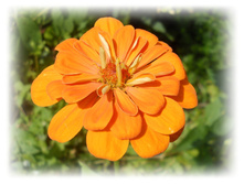 DSCN5689.JPG
