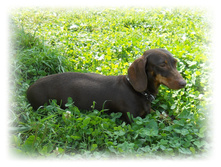 DSCN5745.JPG