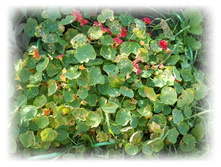 DSCN5757.JPG