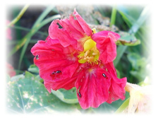 DSCN5759.JPG