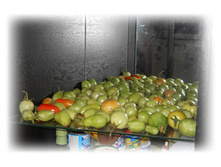 DSCN5784.JPG