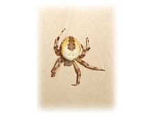 DSCN5787.JPG