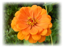 DSCN5799.JPG