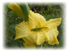 DSCN5815.JPG