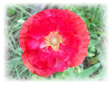 DSCN5837.JPG