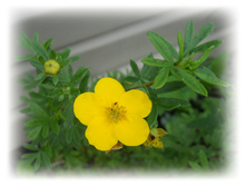 DSCN5839.JPG