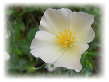 DSCN5846.JPG