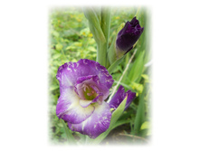 DSCN5868.JPG