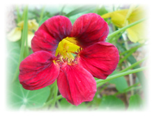 DSCN5871.JPG