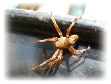 DSCN5890.JPG