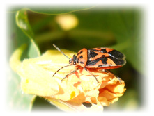 DSCN5893.JPG