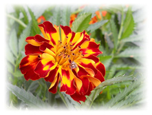 DSCN5911.JPG