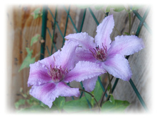 DSCN5925.JPG