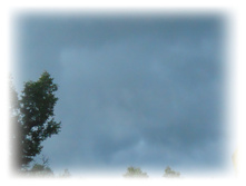 DSCN5941.JPG