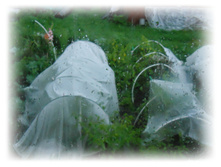 DSCN5944.JPG