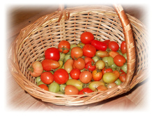 DSCN5988.JPG