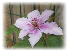 DSCN6000.JPG